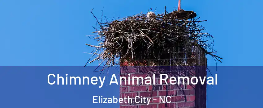  Chimney Animal Removal Elizabeth City - NC