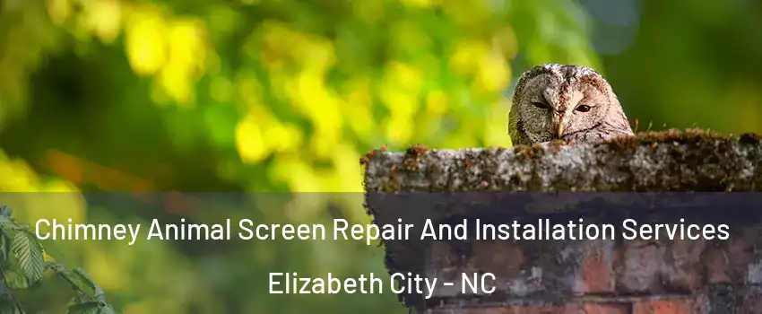  Chimney Animal Screen Repair And Installation Services Elizabeth City - NC