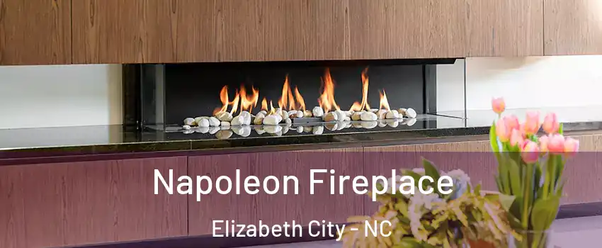  Napoleon Fireplace Elizabeth City - NC